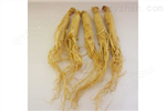 湖南惠瑞生物/*大量供應(yīng)/*/人參提取物80%