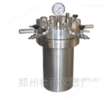 實驗室小型不銹鋼高壓反應(yīng)釜